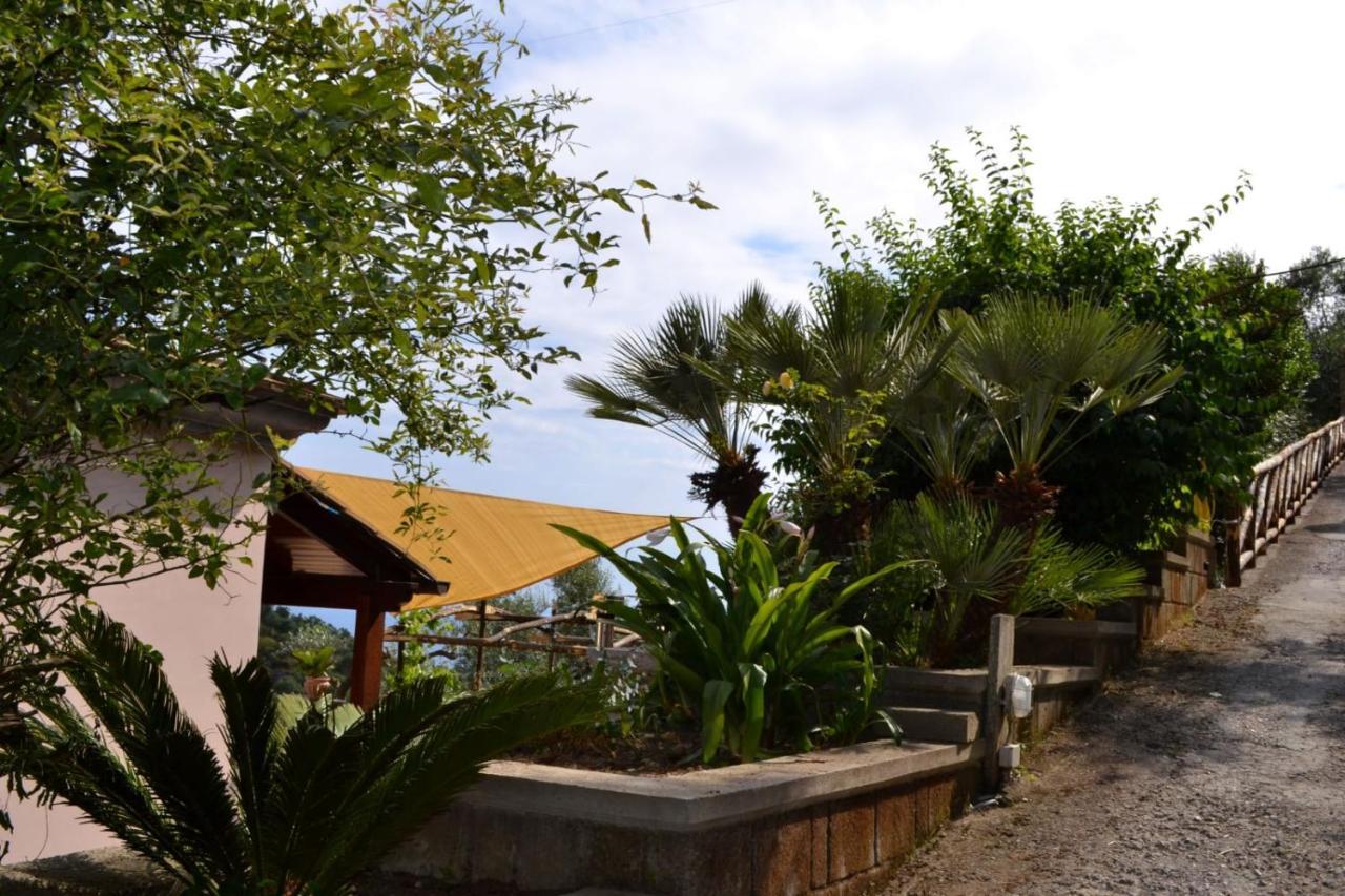 Domus Ars Home & Spa Massa Lubrense Exterior foto